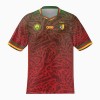 Maglia ufficiale Camerun Trasferta 2023-24 per Uomo